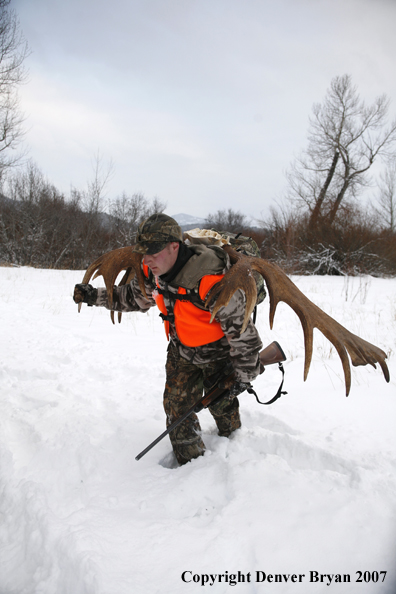 Moose hunter in field