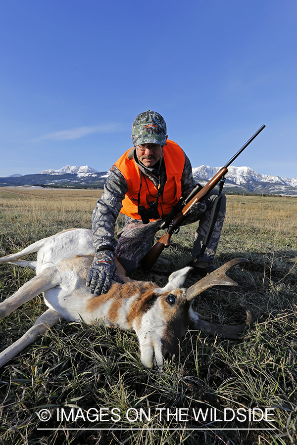 Pronghorn Antelope hunter with bagged antelope buck.