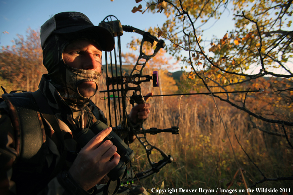 Bow hunter scouting for big game. 