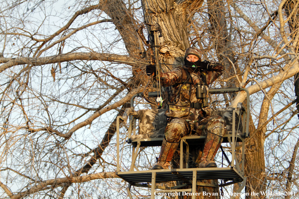 Bowhunter taking aim from tree stand. 