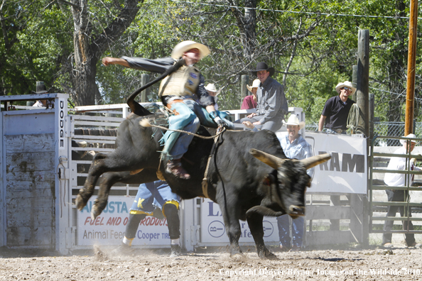 Augusta Rodeo