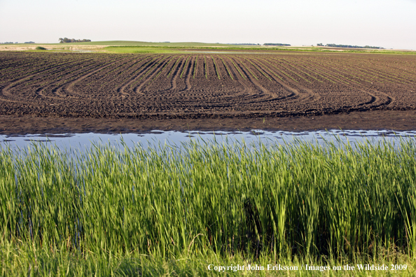 Wetlands near crop fields