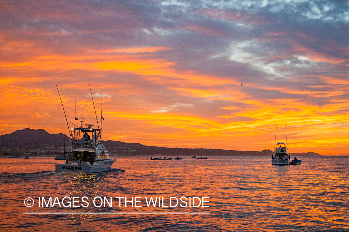 Deep sea fishing boats heading out to sea.