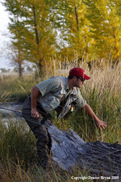 Flyfisherman fishing freshwaters