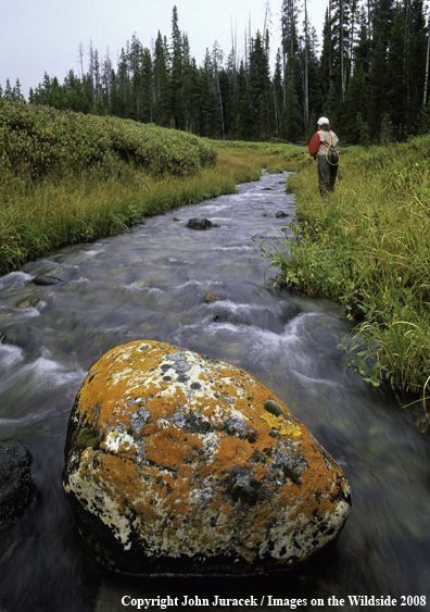 Flyfishing on Grayling Creek