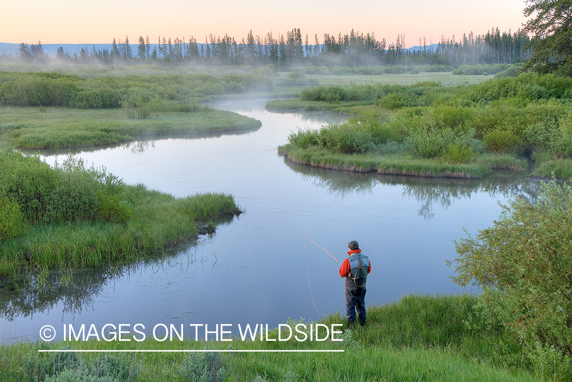 Flyfisherman on Duck Creek, MT.