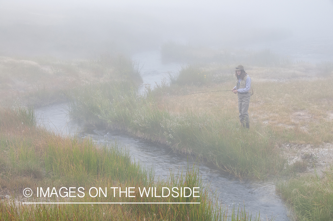 Woman flyfishing in stream in Yellowstone National Park.