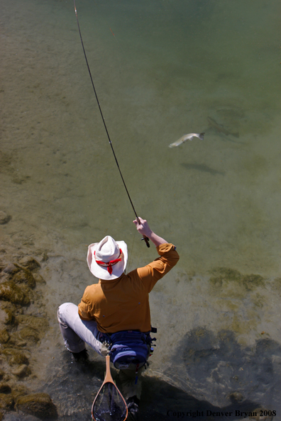 Flyfisherman fishing warm springs