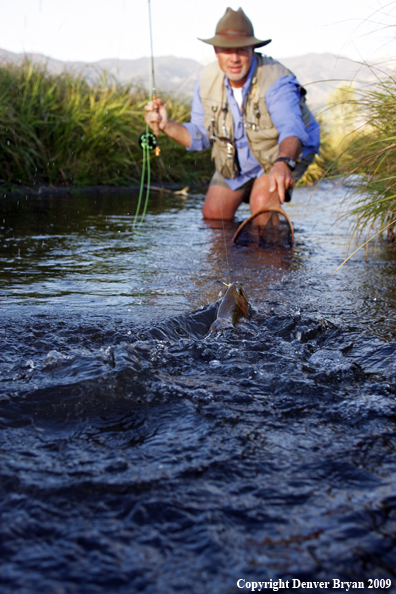 Flyfisherman landing rainbow trout