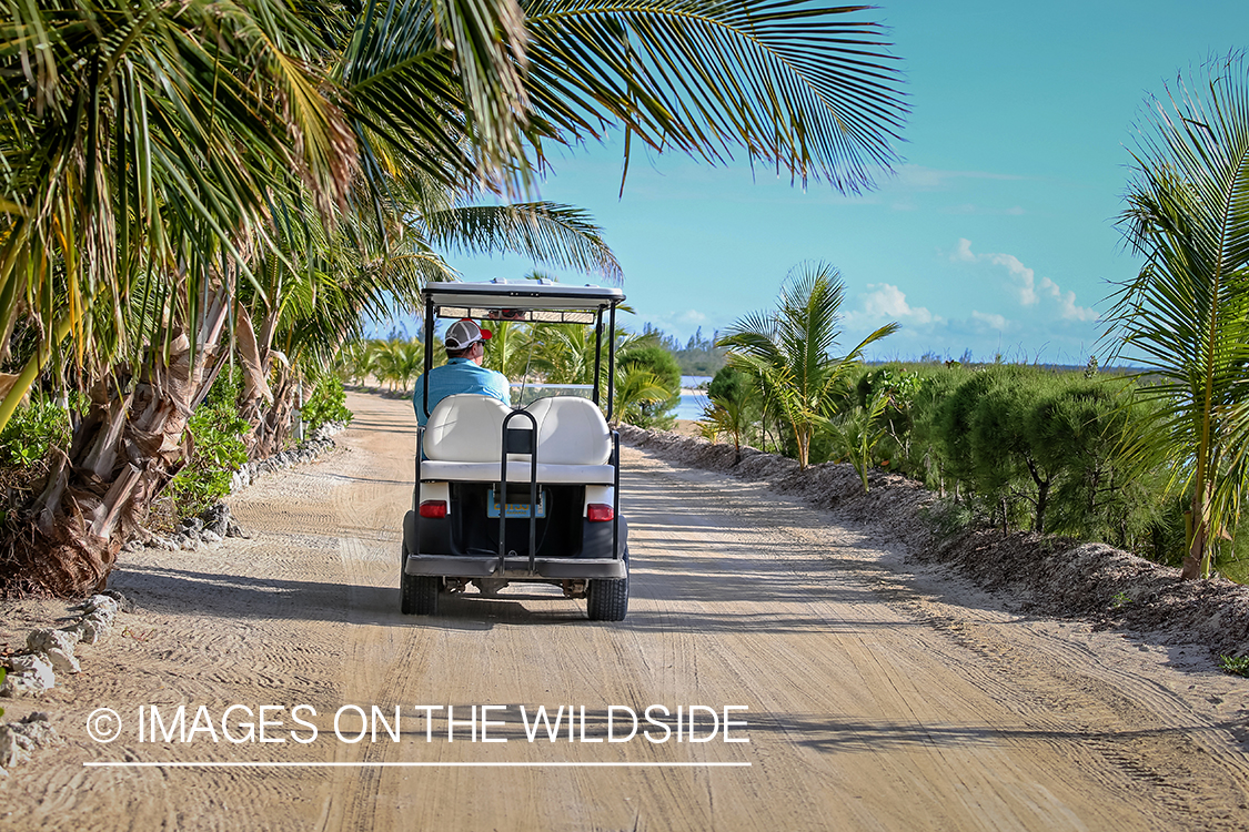 Flyfisherman on golf cart.