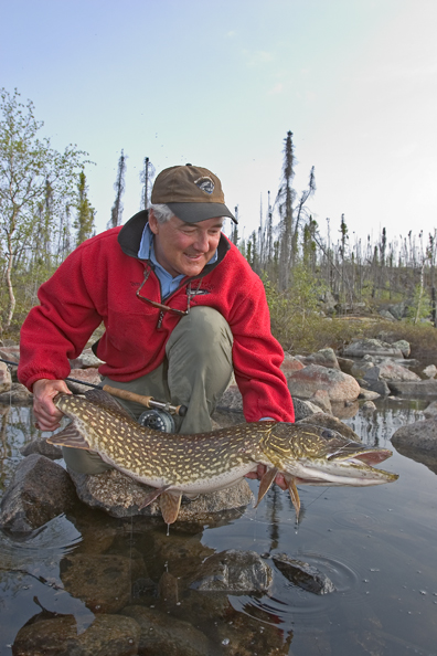 Flyfisherman with Northern pike (MR)