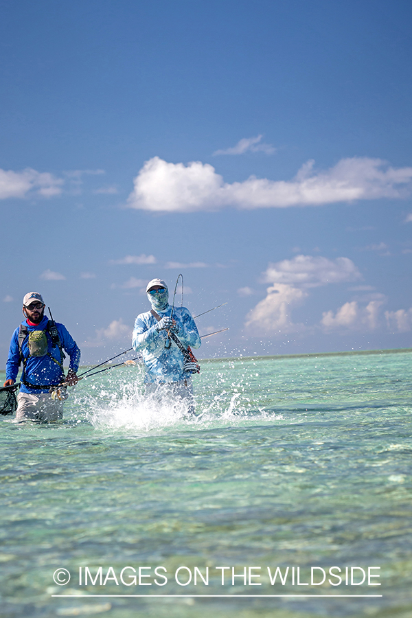 Flyfisherman on St. Brandon's Atoll flats, Indian Ocean.