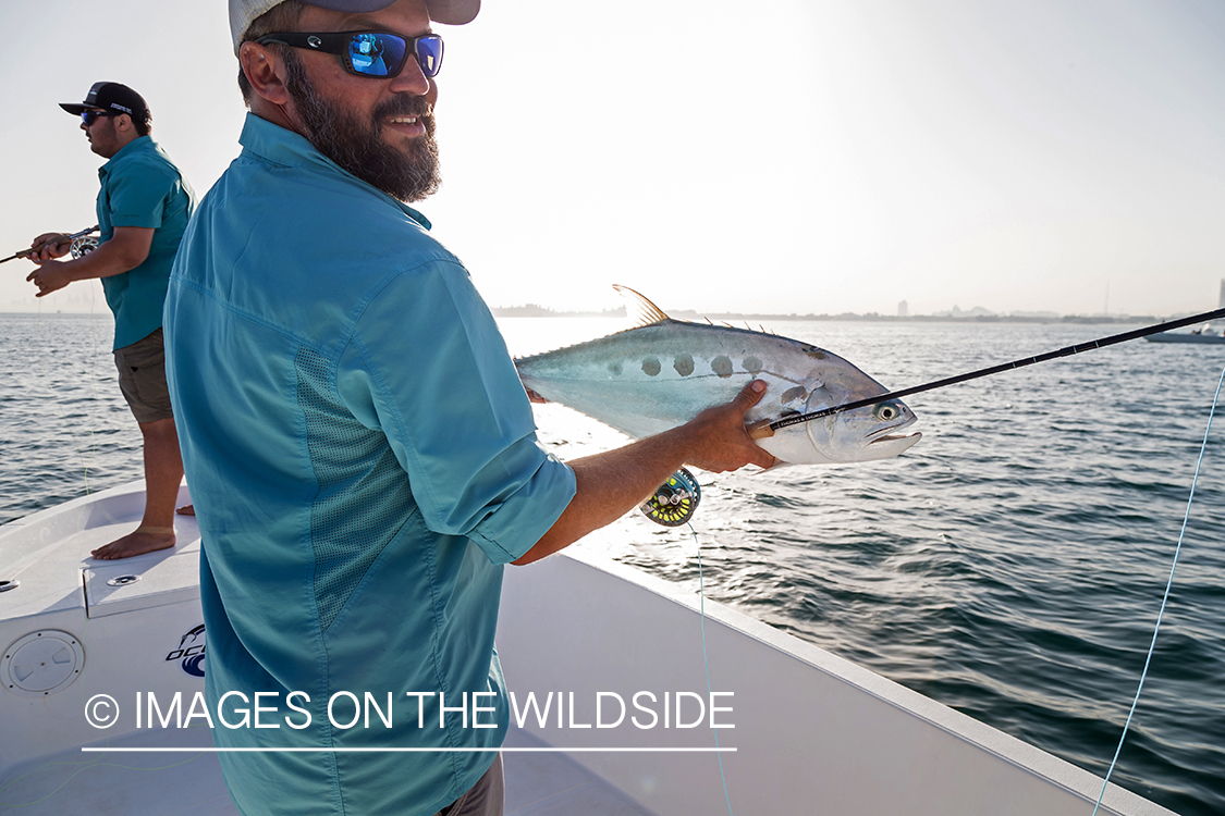 Flyfishing for queenfish off the coast of Dubai, UAE.