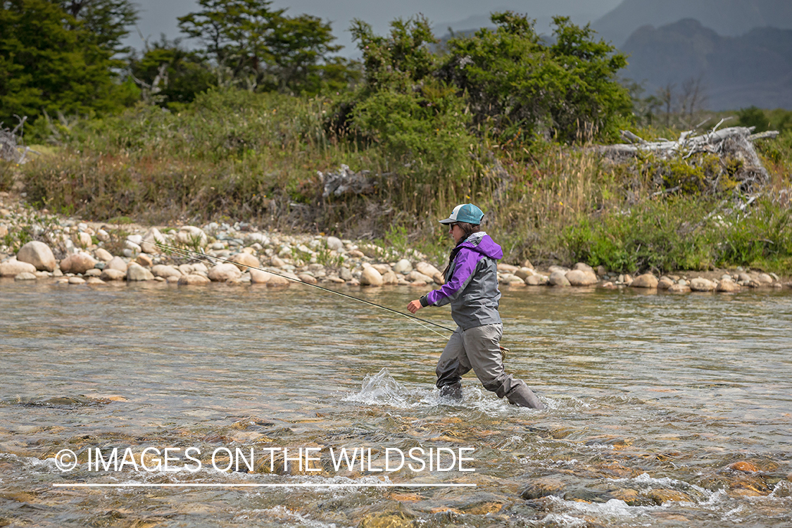 Woman fly fishing guide(Marcela Appelhanz) on stream.