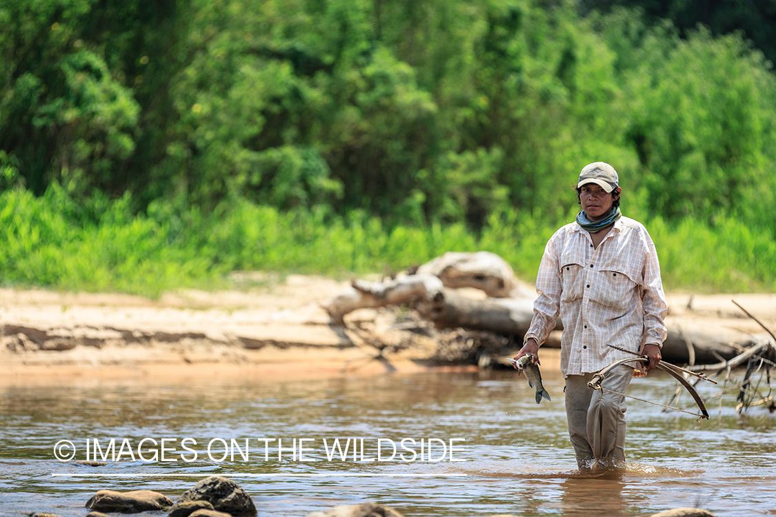 Flyfishing for Golden Dorado in Bolivia. (bow fishing)