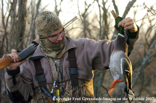 Waterfowl hunter with bagged mallard