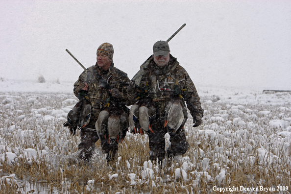 Waterfowl hunters with killed mallard ducks.