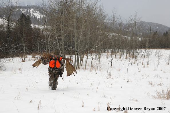 Moose hunter in field