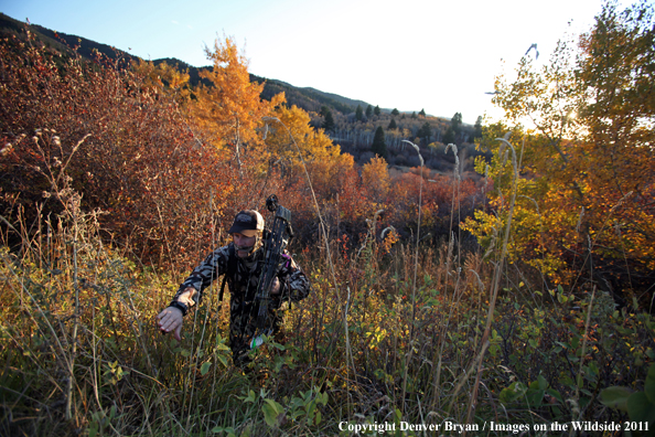 Bow hunter scouting for big game. 