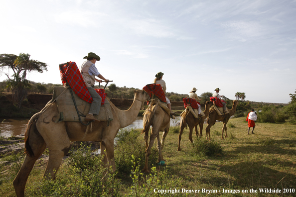 Family riding camels on african safari