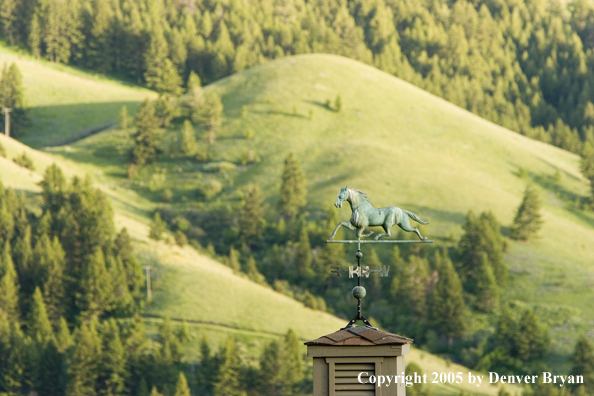 Bridger Mountains of Montana with horse weathervane on top of barn in foreground.