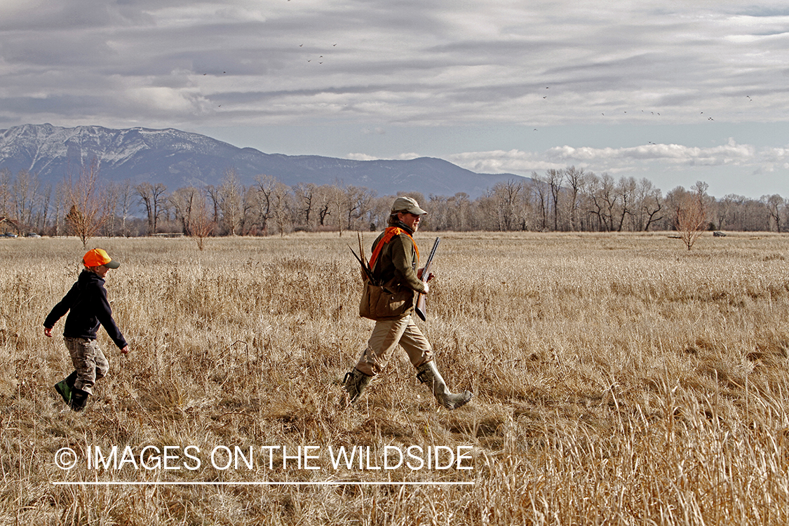 Father and son pheasant hunting. 