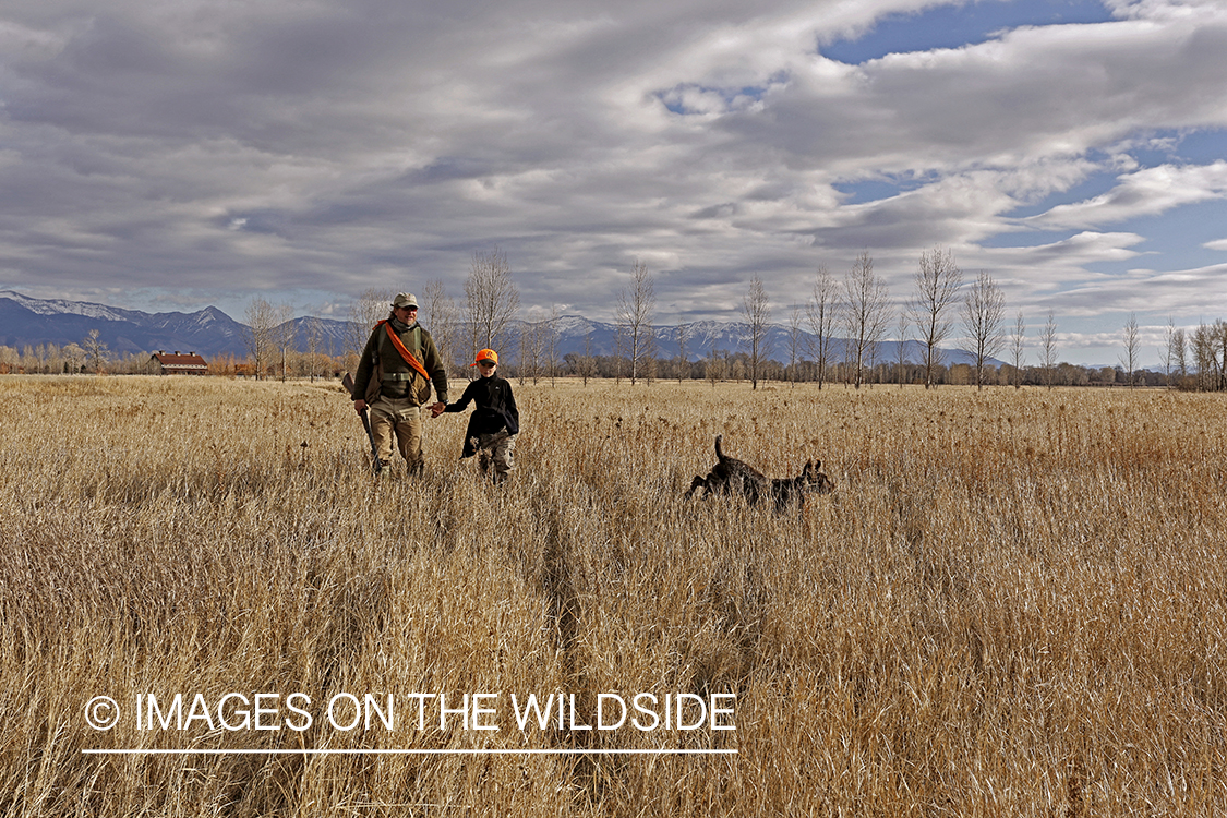 Father and son pheasant hunting. 