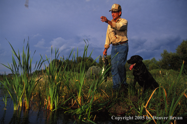  Black Labrador Retriever with trainer.