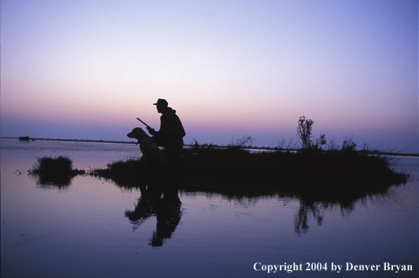 Waterfowl hunter with Lab. 