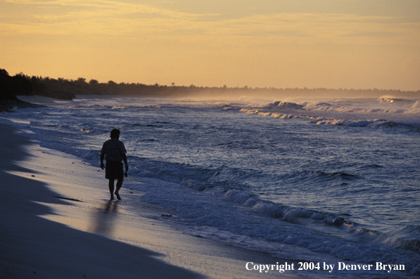 Saltwater flyfisherman walking along surf.