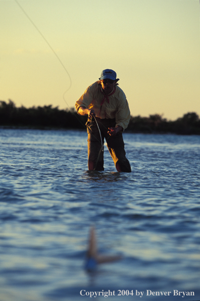 Saltwater flyfisherman casting to tailing bonefish.