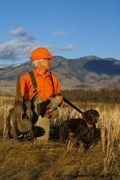 Upland bird hunter with German Shorthaired Pointer and pheasants.