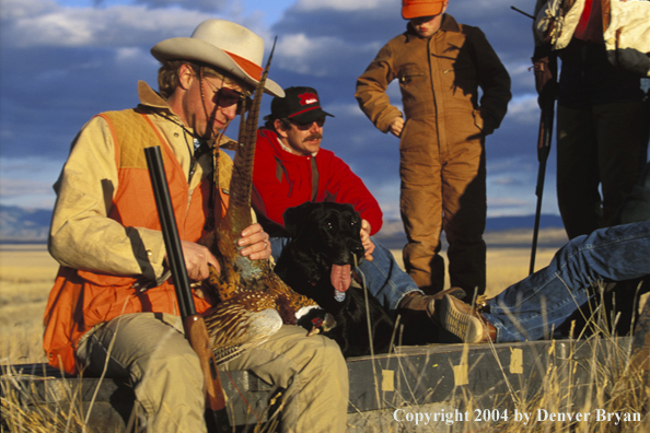 Upland bird hunters with a black Labrador Retriever and game.