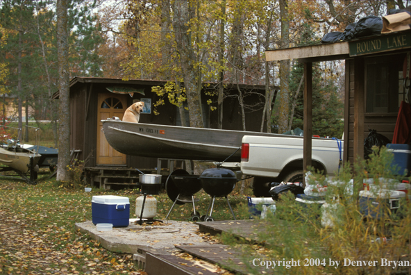 Yellow Labrador Retriever in boat ready to go