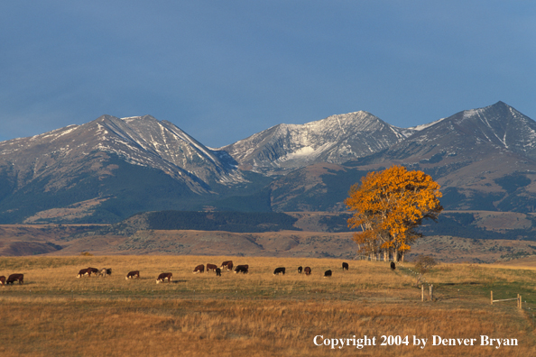 Crazy Mountains, Montana