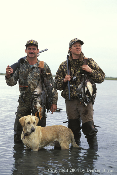 Waterfowl hunters and yellow Lab with bagged geese and ducks.