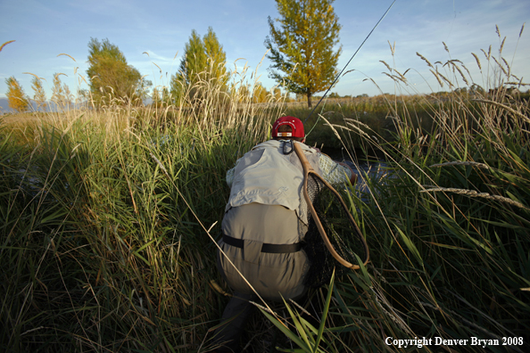 Flyfisherman fishing freshwaters