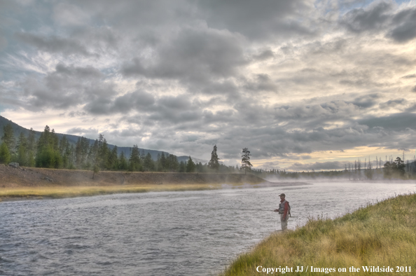 Flyfishing on the Madison River, Yellowstone National Park. 