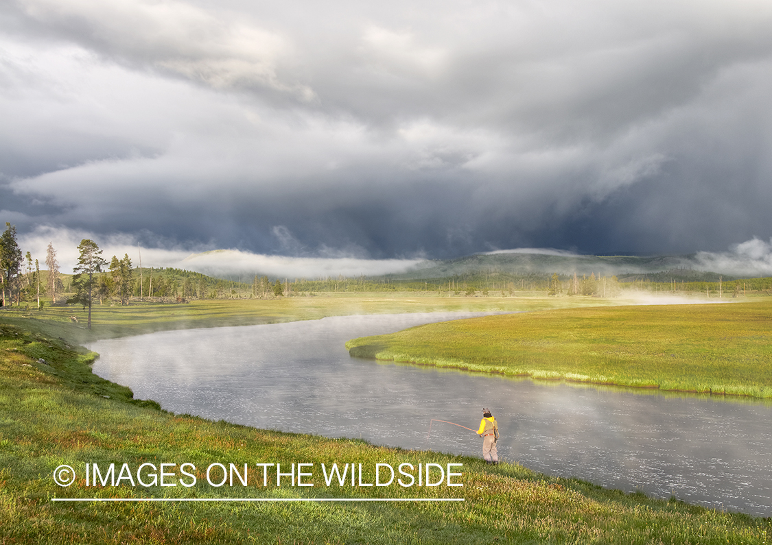 Flyfisherman on Firehole River, YNP.