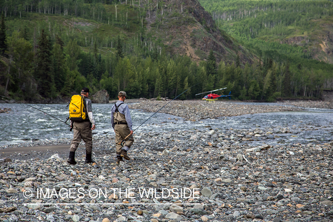 Flyfishermen walking to helicopter on Nakina River.