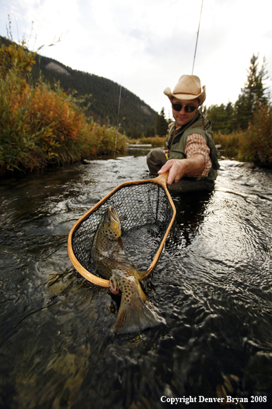 Flyfisherman Landing Brown Trout