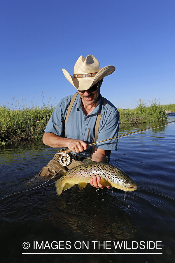 Flyfisherman with brown trout. 