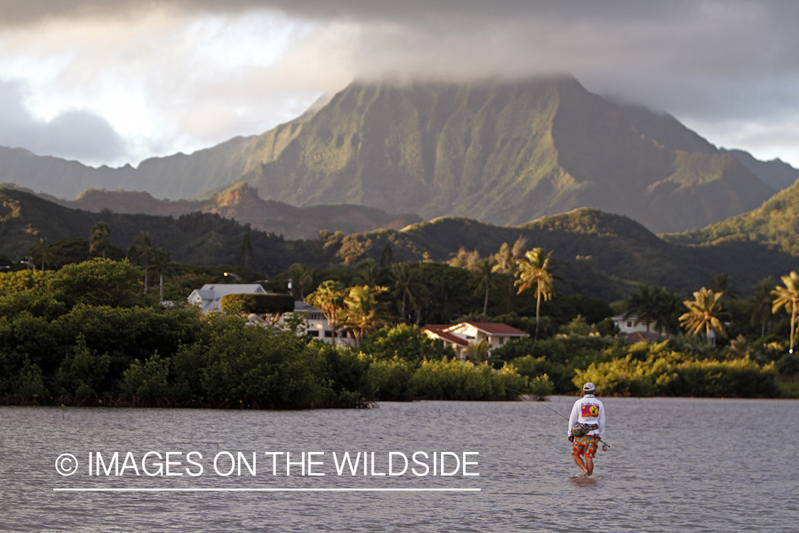 Saltwater flyfisherman fishing on flats, in Hawaii. 