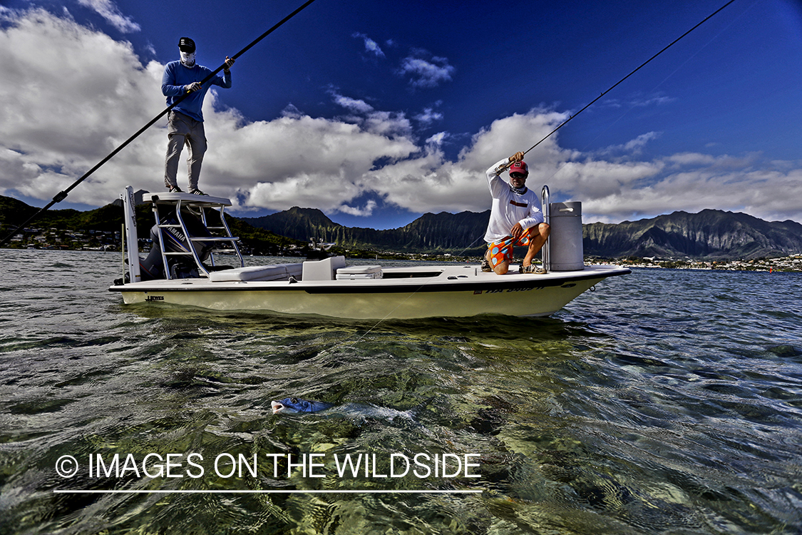 Saltwater flyfisherman fighting bonefish from flats boat, in Hawaii. (HDR)