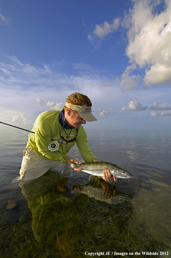 Flyfisherman releasing bone fish.