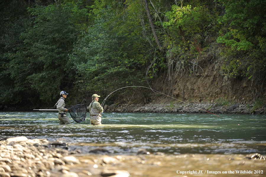 Flyfishers with hooked steelhead.