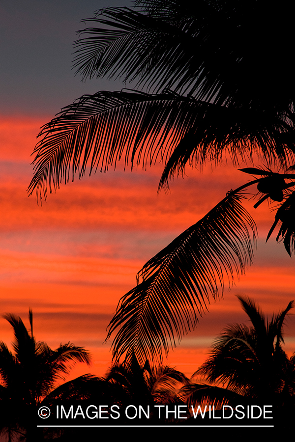 Sunset on beach in Belize.