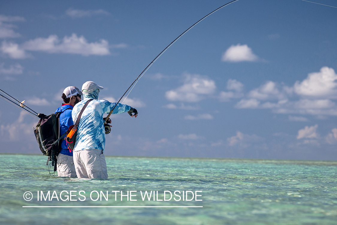 Flyfisherman on St. Brandon's Atoll flats, Indian Ocean.