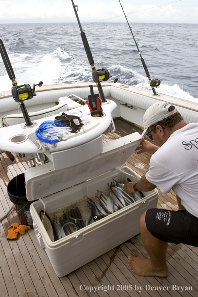 Deep sea fisherman rigging baits.