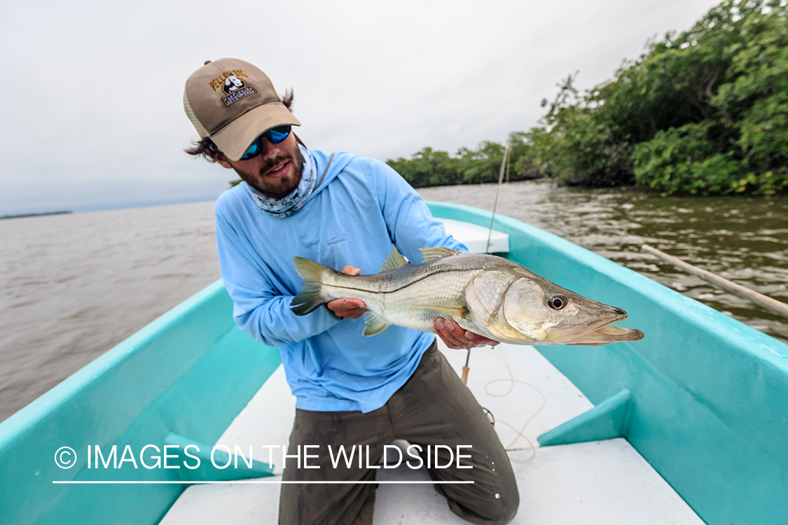 Flyfisherman with snook.